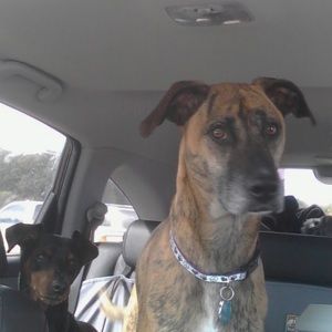 Meet your Posher, Dari